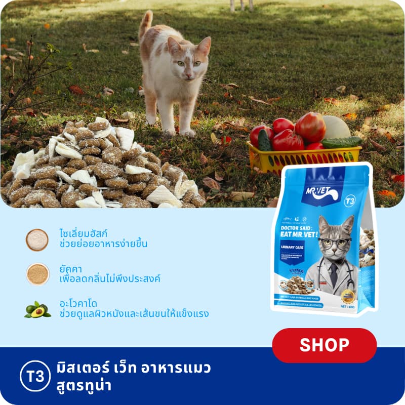 MR.VET T3 อาหารแมว 5กก. สูตรใหม่ มีปลา 4 ชนิด ช่วยดูแลสุขภาพทางเดินปัสสาวะแมวของคุณ รูปที่ 6