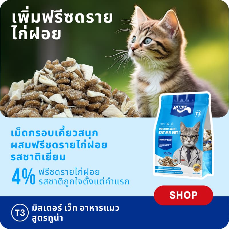 MR.VET T3 อาหารแมว 5กก. สูตรใหม่ มีปลา 4 ชนิด ช่วยดูแลสุขภาพทางเดินปัสสาวะแมวของคุณ รูปที่ 5