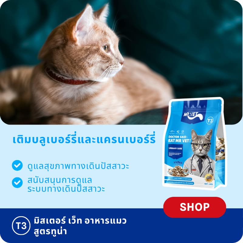 MR.VET T3 อาหารแมว 5กก. สูตรใหม่ มีปลา 4 ชนิด ช่วยดูแลสุขภาพทางเดินปัสสาวะแมวของคุณ รูปที่ 4
