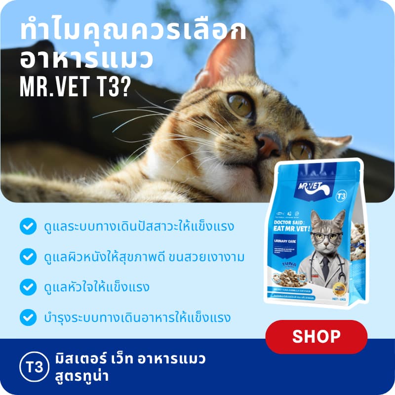 MR.VET T3 อาหารแมว 5กก. สูตรใหม่ มีปลา 4 ชนิด ช่วยดูแลสุขภาพทางเดินปัสสาวะแมวของคุณ รูปที่ 7