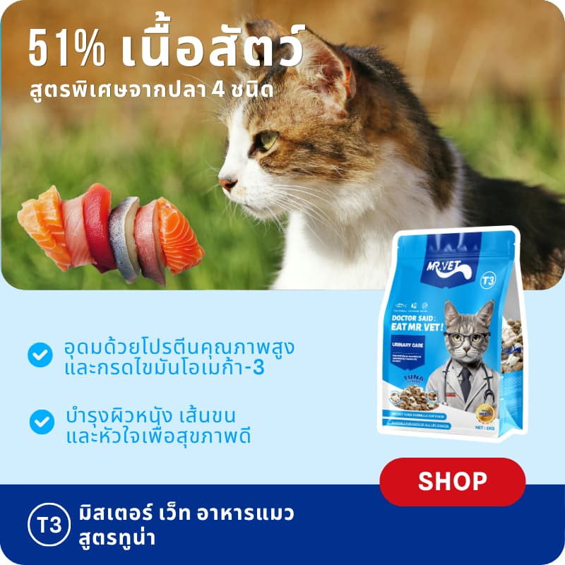 MR.VET T3 อาหารแมว 5กก. สูตรใหม่ มีปลา 4 ชนิด ช่วยดูแลสุขภาพทางเดินปัสสาวะแมวของคุณ รูปที่ 3