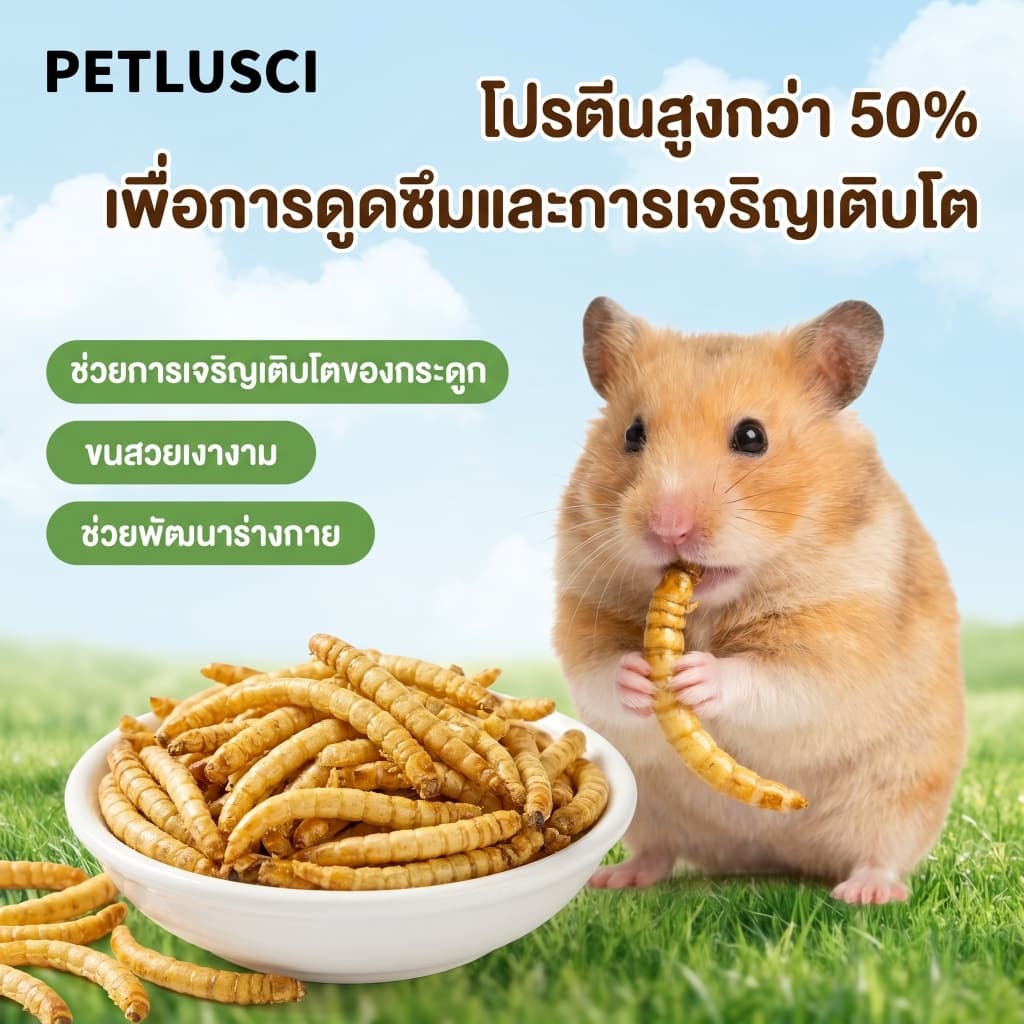 PETLUSCI หนอนอบแห้ง 1800ml อาหารหนูแฮมเตอร์ หนอนอาหาร โปรตีนสูง Hamster หนอนอาหารแห้ง หนอนนก รูปที่ 4
