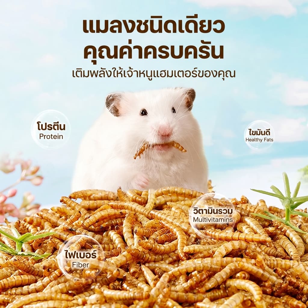 PETLUSCI หนอนอบแห้ง 1800ml อาหารหนูแฮมเตอร์ หนอนอาหาร โปรตีนสูง Hamster หนอนอาหารแห้ง หนอนนก รูปที่ 3