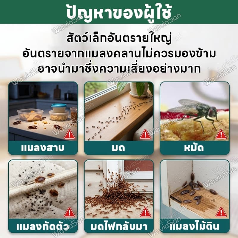 1000m ไร้แมลงวัน แมลงสาบ มดรบกวนผงโรยมด ยาฆ่าแมลงวัน เหยื่อแมลงสาบ ผงล่อกินแมลงวัน แมลงสาบ และมด ติดเชื้อแล้วตาย กำจัดทั้งรังได้ง่าย （ยาฆ่าแมลงสาบ ยาฆ่าแมลงสาบตายยกรัง ยาฆ่ามด ยาฆ่ามดตายยกรัง ที่ดักแมลงวัน） รูปที่ 2