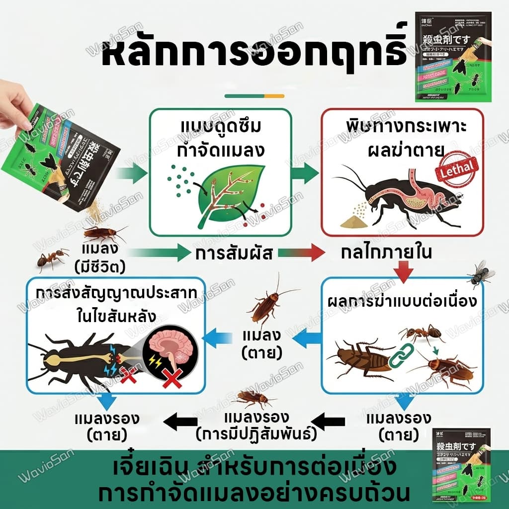 1000m ไร้แมลงวัน แมลงสาบ มดรบกวนผงโรยมด ยาฆ่าแมลงวัน เหยื่อแมลงสาบ ผงล่อกินแมลงวัน แมลงสาบ และมด ติดเชื้อแล้วตาย กำจัดทั้งรังได้ง่าย （ยาฆ่าแมลงสาบ ยาฆ่าแมลงสาบตายยกรัง ยาฆ่ามด ยาฆ่ามดตายยกรัง ที่ดักแมลงวัน） รูปที่ 5