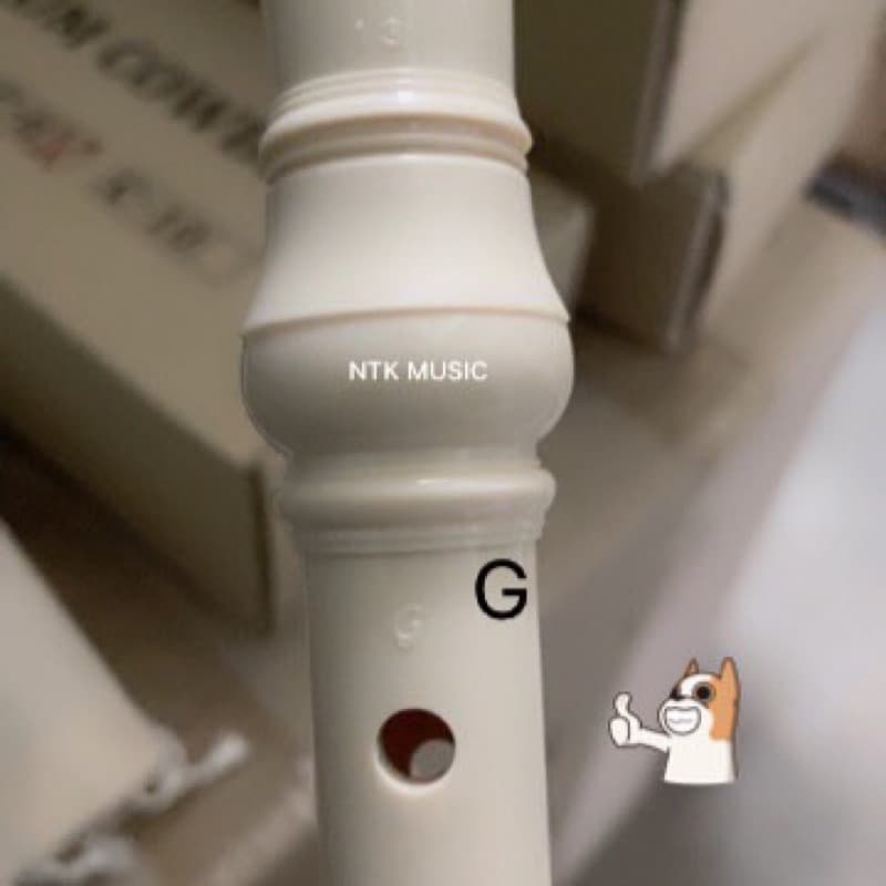 Yamaha ขลุ่ย รีคอร์เดอร์ YRS-23G recorder Fingering Flute Gemany Key 20 ช่อง คีย์ C รูปที่ 9