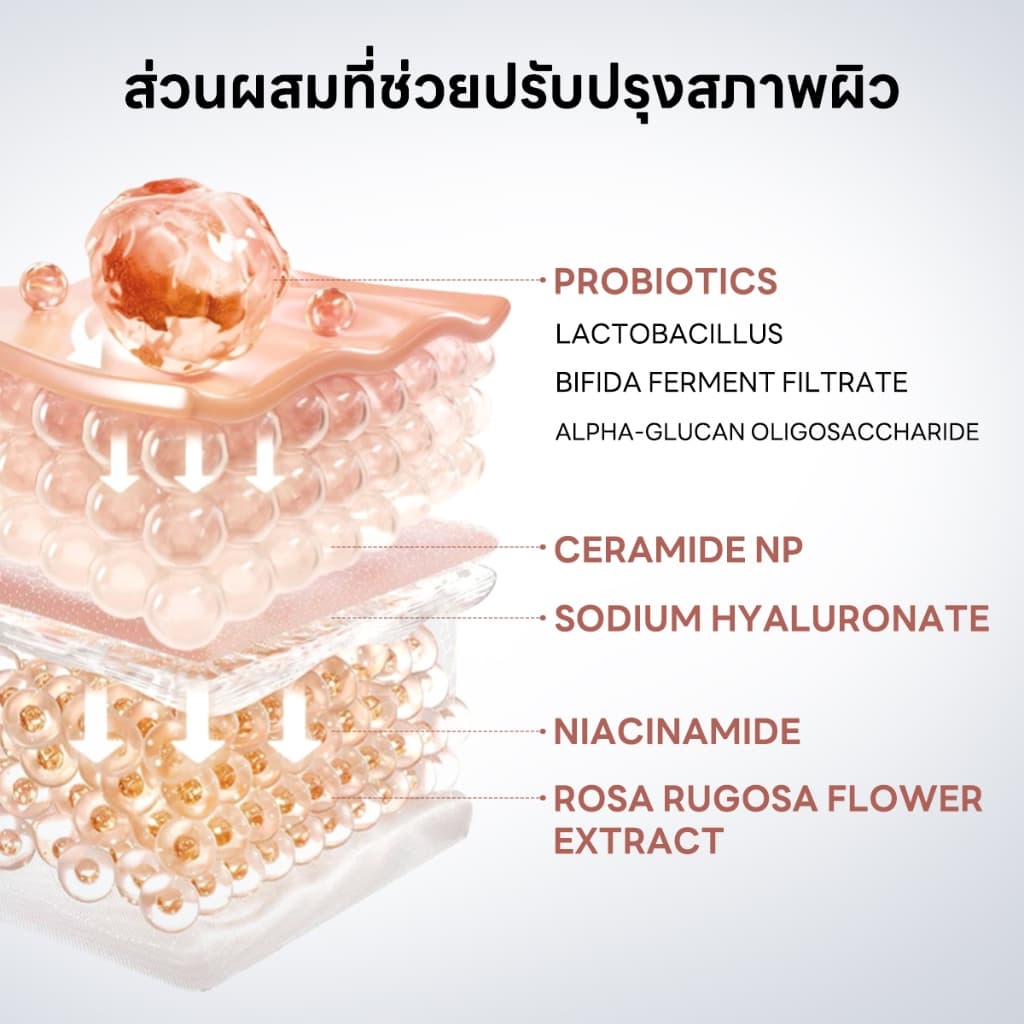PAPA FEELสูตรเข้มข้น เพื่อที่สุดของการบำรุงฟื้นฟู ผิวสม่ำเสมอ ครีมลดริ้ ลดริ้วรอยร่องลึก 30g รูปที่ 5