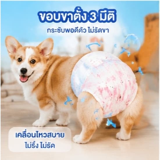 ซื้อ 1 แถม 1Qti ผ้าอ้อมสุนัข ซึมซับดีมากตลอดคืน ตัวเมีย ผ้าอ้อมสุนัข ตัวผู้ ผ้าอ้อมสุนัข สวมง่าย แนบเนื้อ สบายตัว รูปที่ 3