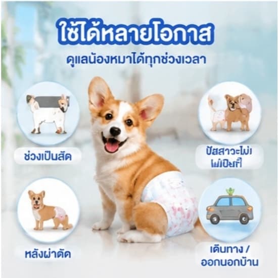 ซื้อ 1 แถม 1Qti ผ้าอ้อมสุนัข ซึมซับดีมากตลอดคืน ตัวเมีย ผ้าอ้อมสุนัข ตัวผู้ ผ้าอ้อมสุนัข สวมง่าย แนบเนื้อ สบายตัว รูปที่ 9