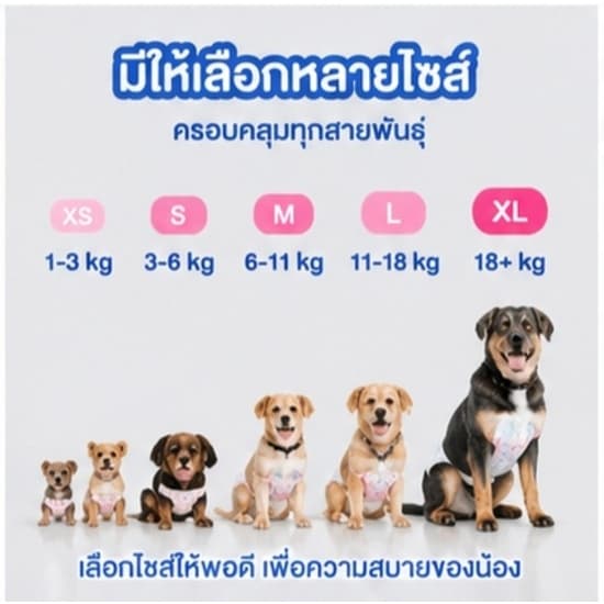 ซื้อ 1 แถม 1Qti ผ้าอ้อมสุนัข ซึมซับดีมากตลอดคืน ตัวเมีย ผ้าอ้อมสุนัข ตัวผู้ ผ้าอ้อมสุนัข สวมง่าย แนบเนื้อ สบายตัว รูปที่ 6