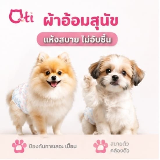 สุนัขเพศผู้ สุนัขเพศเมีย XXS-XL ผ้าอ้อมน้องหมา มีหลายขนาดให้เลือก ผ้าอ้อมสุนัข เพศเมีย ผ้าอ้อมสัตว์เลี้ยง รูปที่ 2