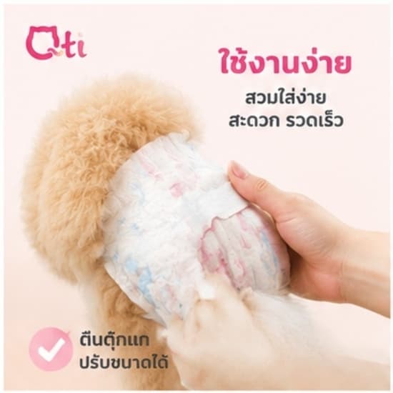 สุนัขเพศผู้ สุนัขเพศเมีย XXS-XL ผ้าอ้อมน้องหมา มีหลายขนาดให้เลือก ผ้าอ้อมสุนัข เพศเมีย ผ้าอ้อมสัตว์เลี้ยง รูปที่ 6