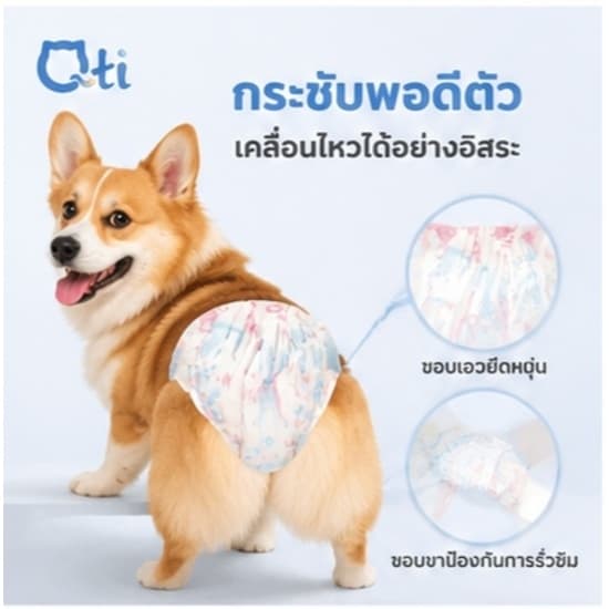 สุนัขเพศผู้ สุนัขเพศเมีย XXS-XL ผ้าอ้อมน้องหมา มีหลายขนาดให้เลือก ผ้าอ้อมสุนัข เพศเมีย ผ้าอ้อมสัตว์เลี้ยง รูปที่ 3