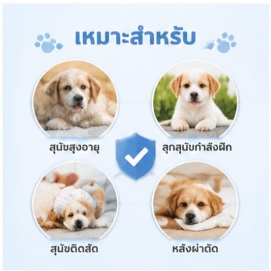 สุนัขเพศผู้ สุนัขเพศเมีย XXS-XL ผ้าอ้อมน้องหมา มีหลายขนาดให้เลือก ผ้าอ้อมสุนัข เพศเมีย ผ้าอ้อมสัตว์เลี้ยง รูปที่ 9