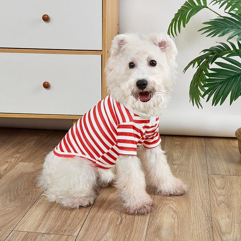 เสื้อโปโลสุนัขเสื้อผ้าลูกสุนัขขนาดเล็ก Shih Tzu Cat Clothes รูปที่ 4