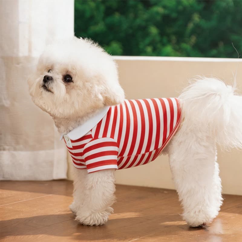 เสื้อโปโลสุนัขเสื้อผ้าลูกสุนัขขนาดเล็ก Shih Tzu Cat Clothes รูปที่ 9