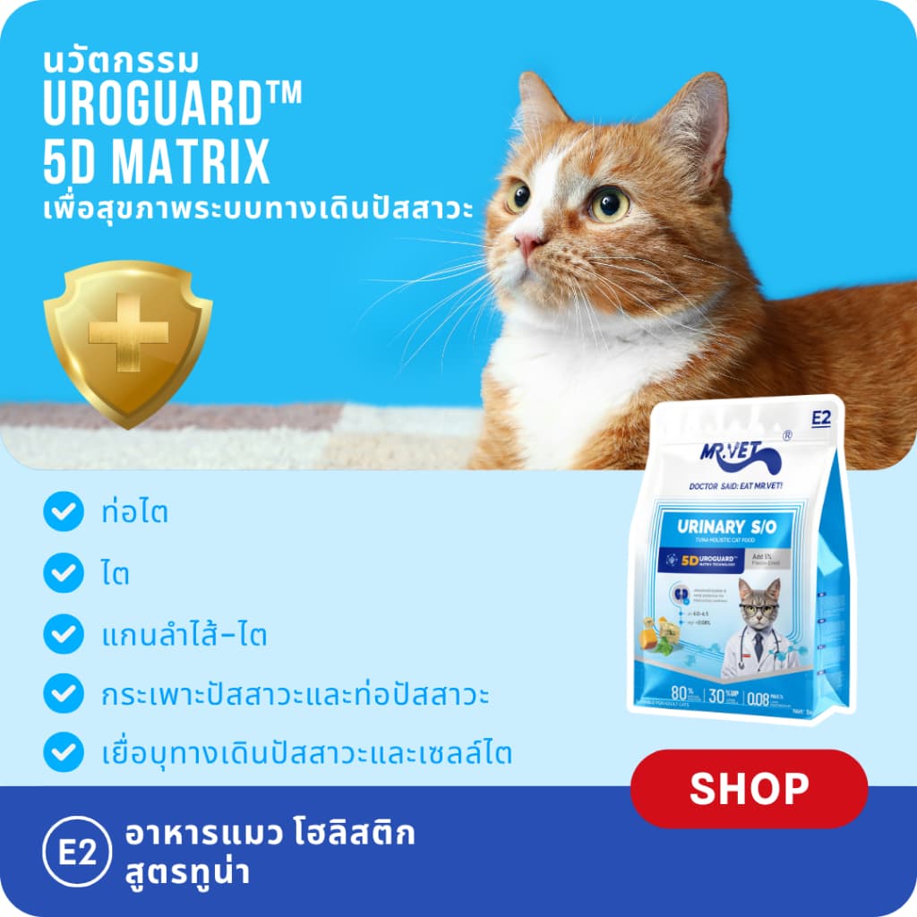 MR.Vet E2 UroGuard™ 5D Matrix อาหารแมว 2KG – รองรับปัสสาวะ Tract & Kidney Health, Balances pH, ป้องกันการก่อตัวของหิน, โปรตีนสูง 30% จากทูน่าและไก่สด รูปที่ 2