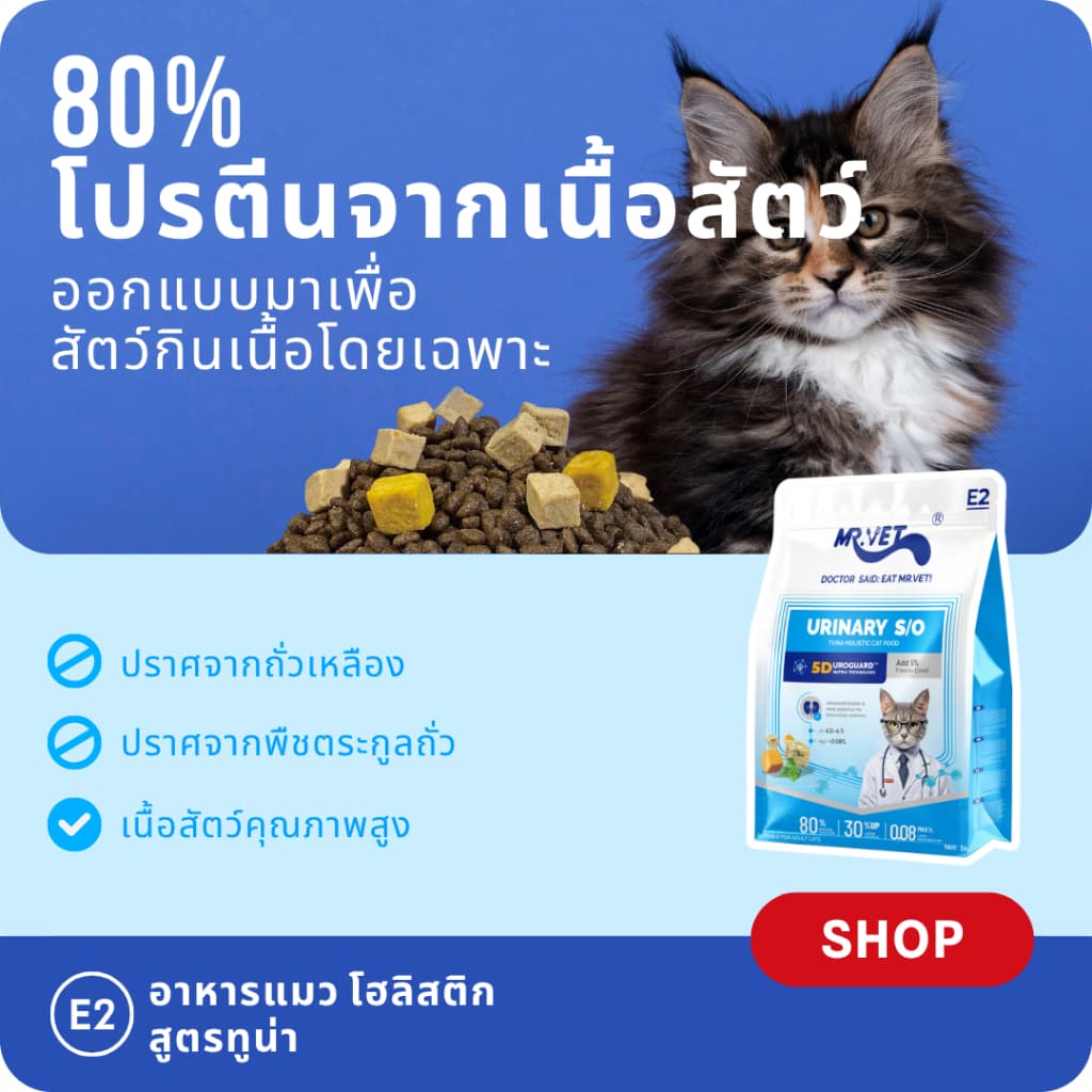MR.Vet E2 UroGuard™ 5D Matrix อาหารแมว 2KG – รองรับปัสสาวะ Tract & Kidney Health, Balances pH, ป้องกันการก่อตัวของหิน, โปรตีนสูง 30% จากทูน่าและไก่สด รูปที่ 4