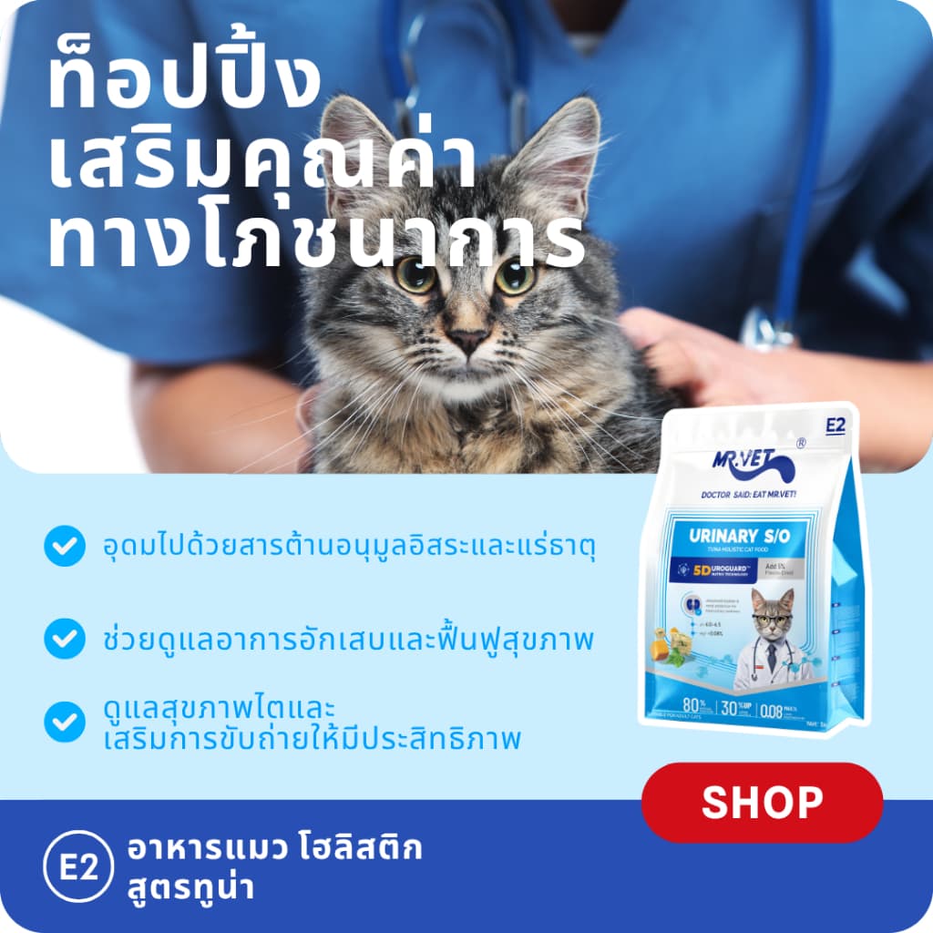 MR.Vet E2 UroGuard™ 5D Matrix อาหารแมว 2KG – รองรับปัสสาวะ Tract & Kidney Health, Balances pH, ป้องกันการก่อตัวของหิน, โปรตีนสูง 30% จากทูน่าและไก่สด รูปที่ 6