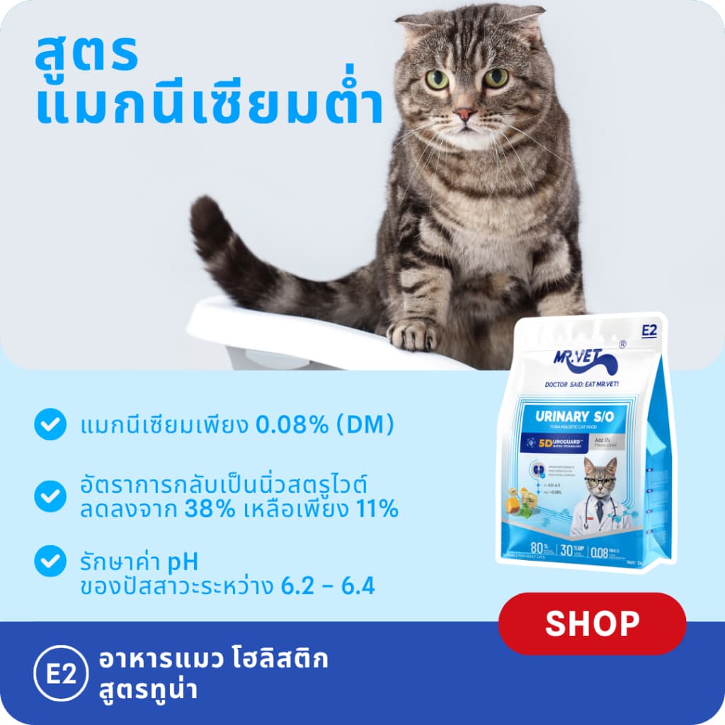 MR.Vet E2 UroGuard™ 5D Matrix อาหารแมว 2KG – รองรับปัสสาวะ Tract & Kidney Health, Balances pH, ป้องกันการก่อตัวของหิน, โปรตีนสูง 30% จากทูน่าและไก่สด รูปที่ 5
