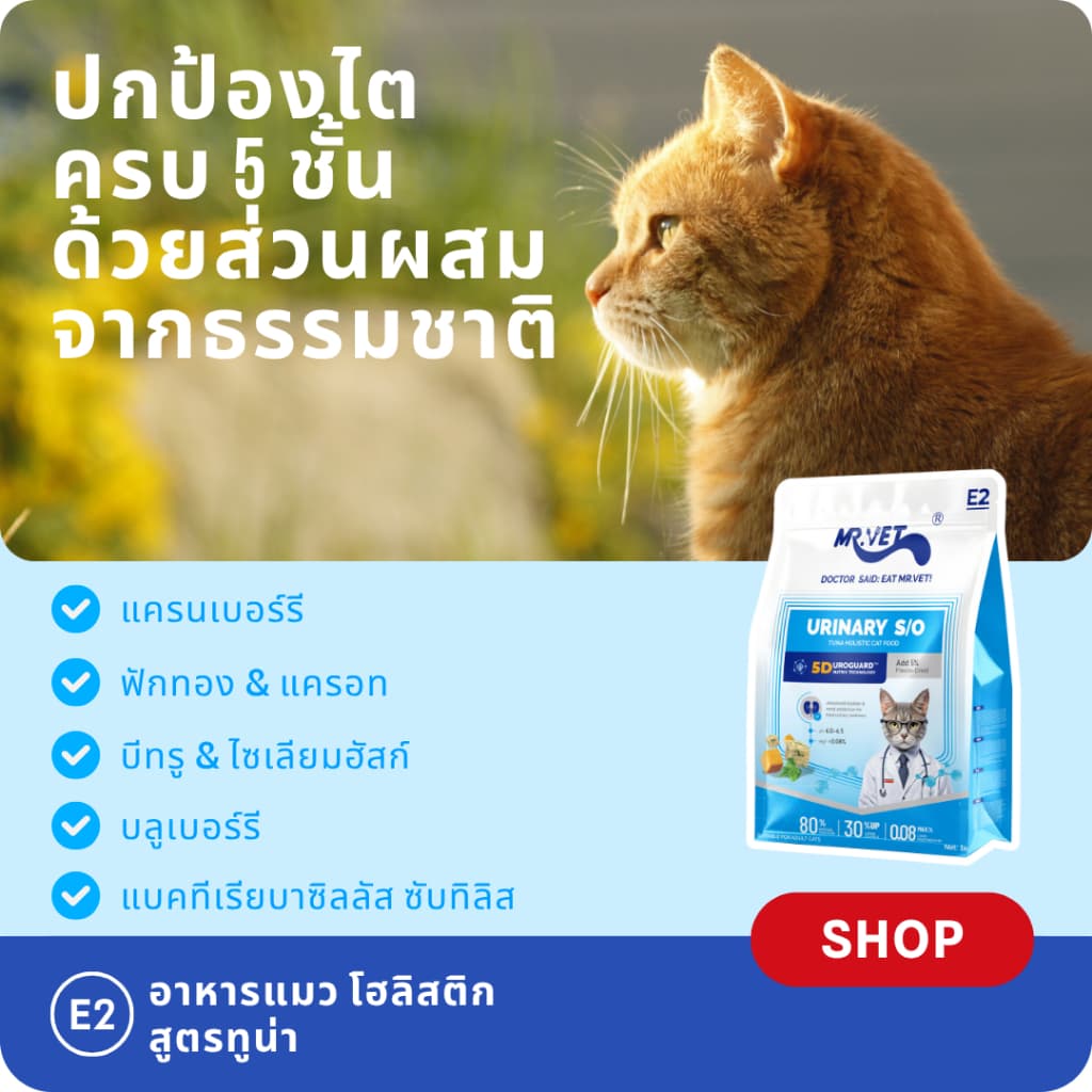 MR.Vet E2 UroGuard™ 5D Matrix อาหารแมว 2KG – รองรับปัสสาวะ Tract & Kidney Health, Balances pH, ป้องกันการก่อตัวของหิน, โปรตีนสูง 30% จากทูน่าและไก่สด รูปที่ 3