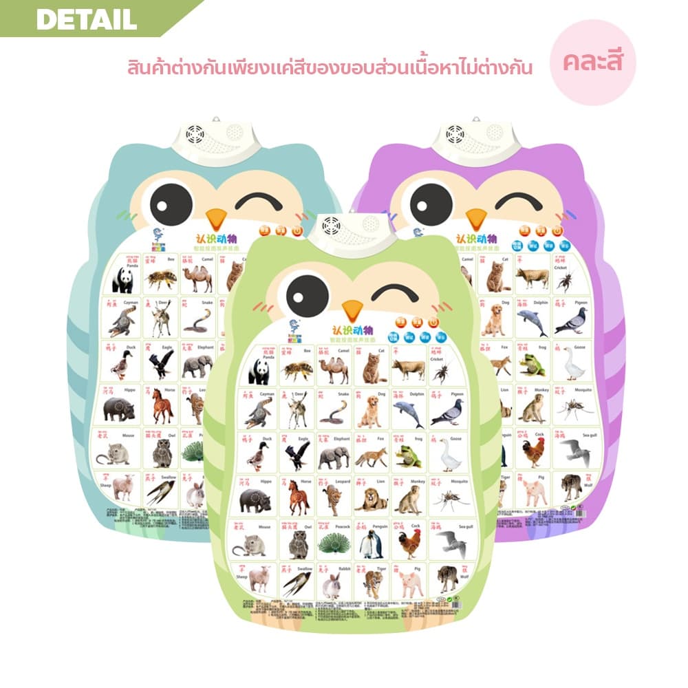 ERORO โปสเตอร์นกฮูกพูดได้ 1-3ภาษา กดมีเสียง สำหรับเรียนรู้คำศัพท์ภาษาจีน ภาษาอังกฤษ รูปที่ 7