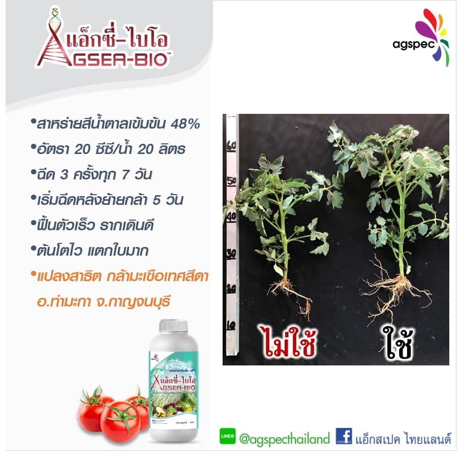 แอ็กซี่-ไบโอ สารสกัดเข้มข้นจากสาหร่ายทะเล Ascophyllum Nodosum 48% เปิดตาดอก เร่งยอด เร่งราก ขยายขนาด 500ซีซี 1ลิตร รูปที่ 2