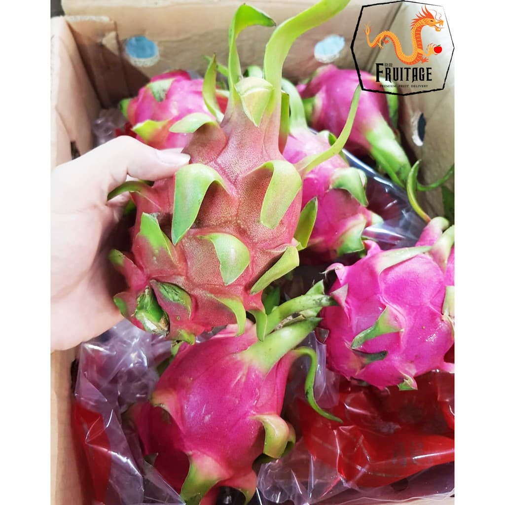 แก้วมังกร นำเข้าจากเวียดนามแท้ DRAGON FRUIT ~ลดพิเศษ~ สดใหม่ แคลอรี่ต่ำ แก้วมังกรสีขาว รูปที่ 1