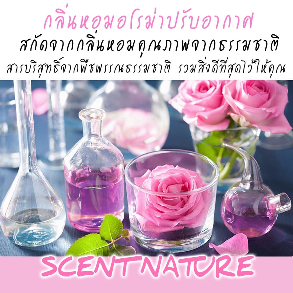 หอมสดชื่น ก้านไม้หอมปรับอากาศ เซนต์ เนเจอร์ 50ml รูปที่ 6