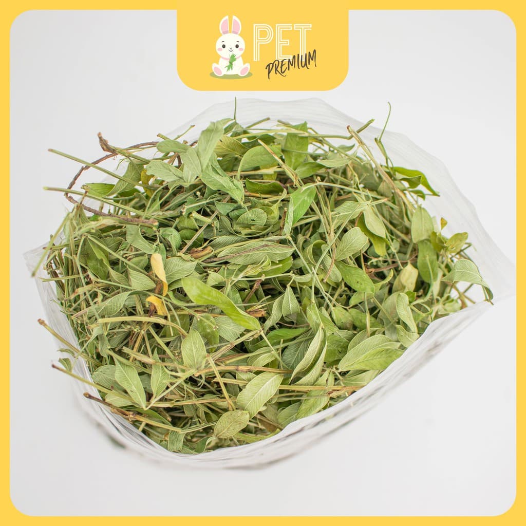 ถั่วกลาบาต้า 500 กรัม glabata 500 g by pet premium รูปที่ 3
