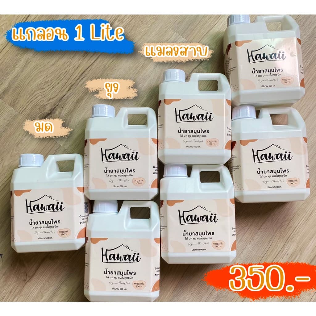 สเปรย์กำจัดมด 1 แกลอน ปริมาณ 1,000 ml กำจัดแมลง สเปยร์ไล่มด สมุนไพรกำจัดมด กำจัดยุง กำจัดแมลง กำจัดแมลงสาบ แบนด์ Hawaii รูปที่ 3
