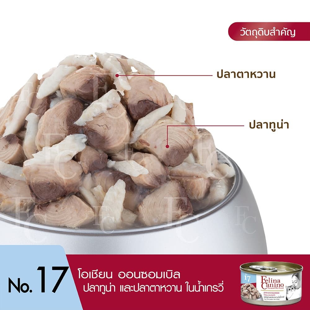 Felina Canino : NO.17 Ocean Ensemble 70g. รูปที่ 3