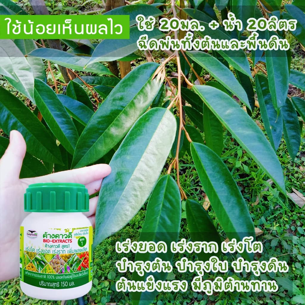 ปุ๋ยทุเรียนช่วงทำใบ เพิ่มใบ ค้างคาวดีสูตร1 ฟื้นต้น เร่งแตกยอด สร้างใบใหม่ สะสมอาหาร F1-150ML รูปที่ 4