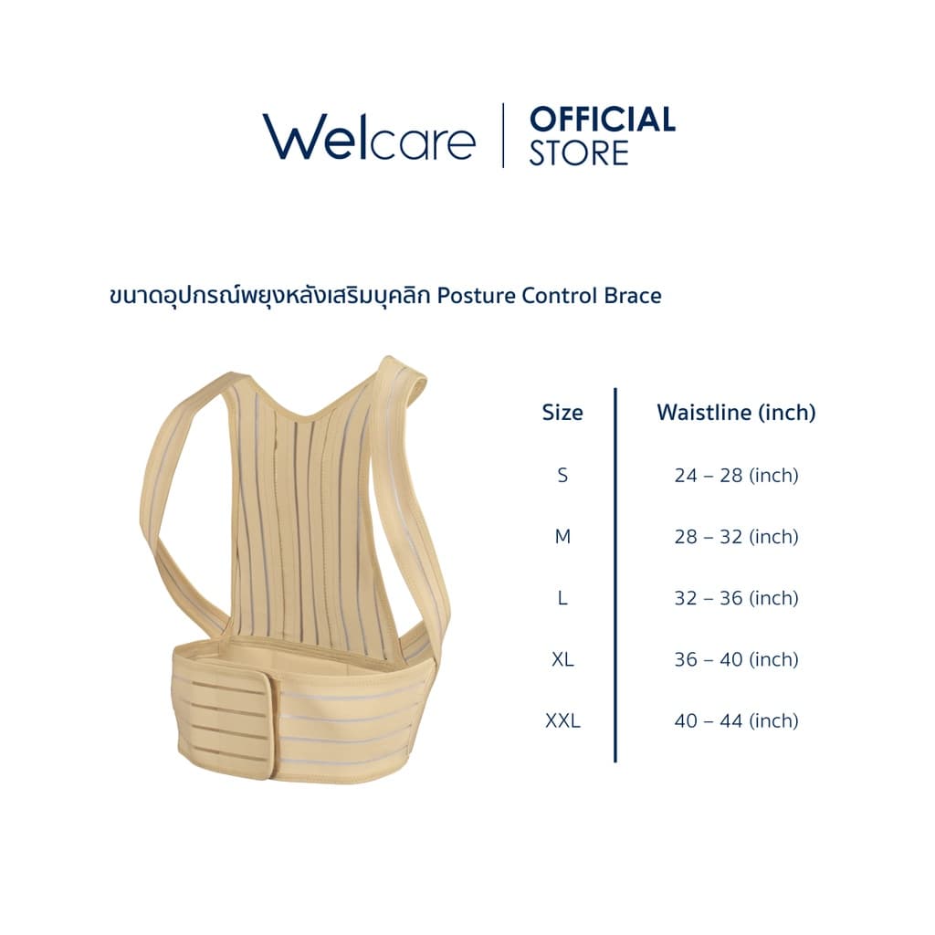 Welcare แผ่นพยุง/อุปกรณ์เสริมบุคคลิกภาพ Posture Control Brace ไซส์ S, M, L, XL และ XXL รูปที่ 6