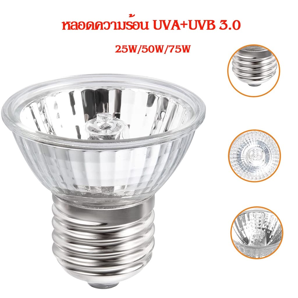 E27 ขั้วหลอดไฟ Minisun ขั้วหลอดไฟเซรามิค หลอดไฟ UVA+UVB 3.0 25W/50W/75W​ โคมไฟทนความร้อน สำหรับเต่าน้ำเต่าบก​ลูกนก รูปที่ 5