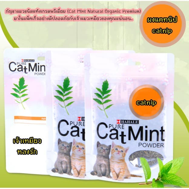 AL-021 ผงแคทนิป กัญชาแมว Catnip สมุนไพรแมว แคทนิป แคตนิป 5กรัม รูปที่ 1