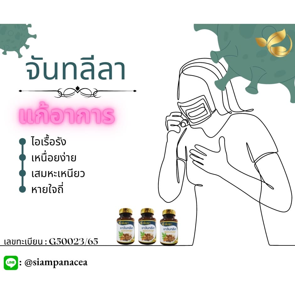 แก้ไอ ไอเรื้อรัง ละลายเสมหะ ใช้ จันทลีลา ขนาด 500mg จำนวน 60 แคปซูล รูปที่ 5