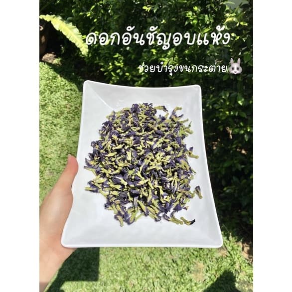 ดอกอัญชันอบแห้งสำหรับสัตว์ฟันแทะ บำรุงขนให้สวยงามและนุ่ม รูปที่ 2