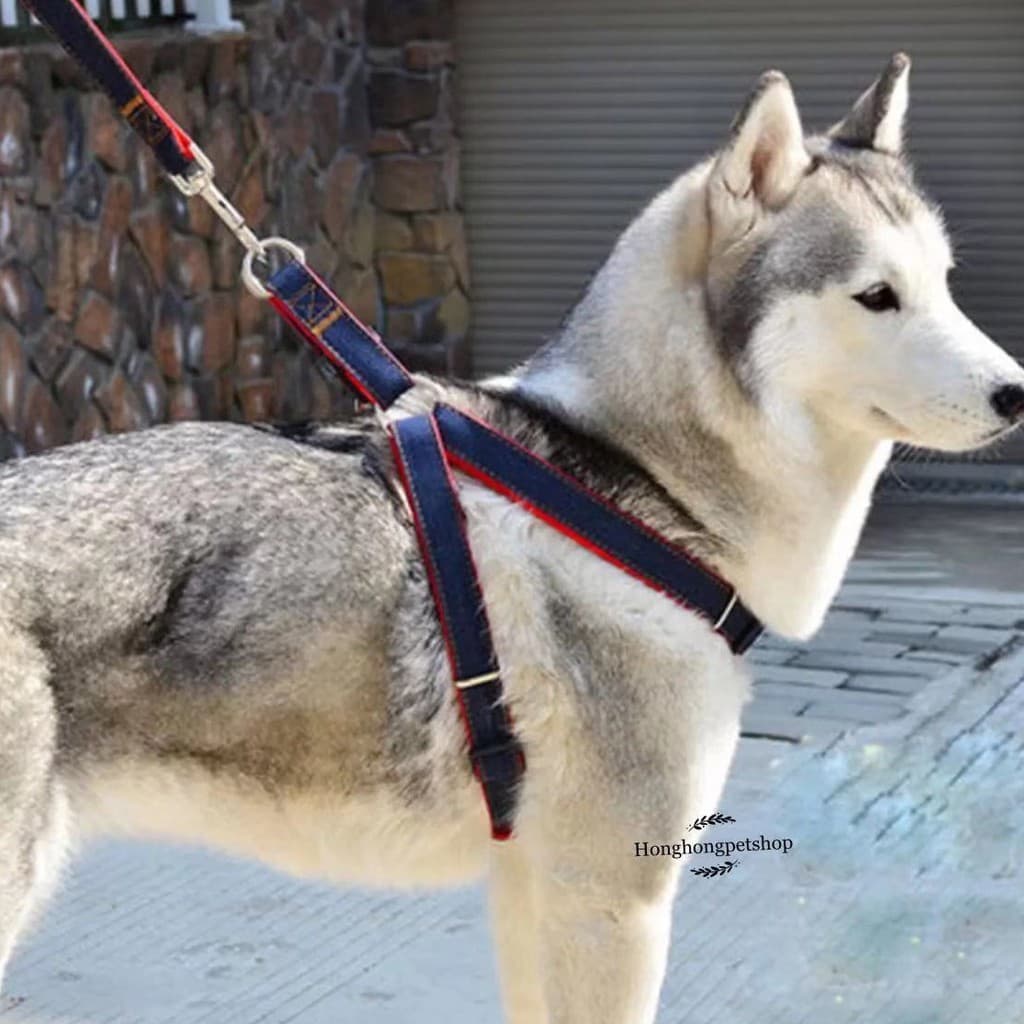 ​SETสายจูงสุนัข+สายรัดอก สำหรับน้องๆทุกสายพันธุ์ รูปที่ 1