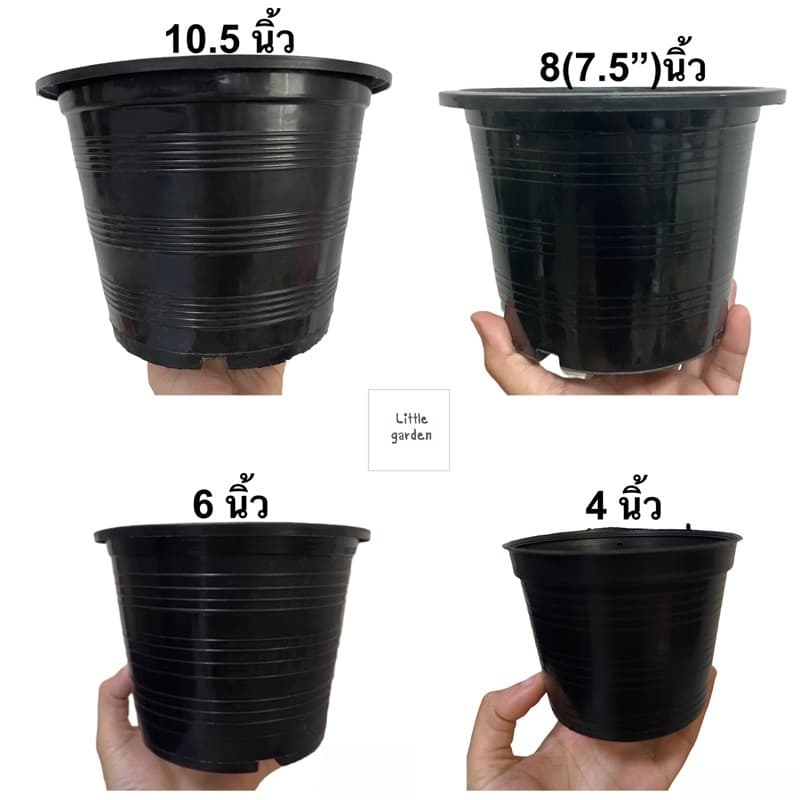 Little กระถางต้นไม้ 10.5 นิ้ว 6 นิ้ว 8 นิ้ว 5.5 นิ้ว 4 นิ้ว 3 นิ้ว รูปที่ 4