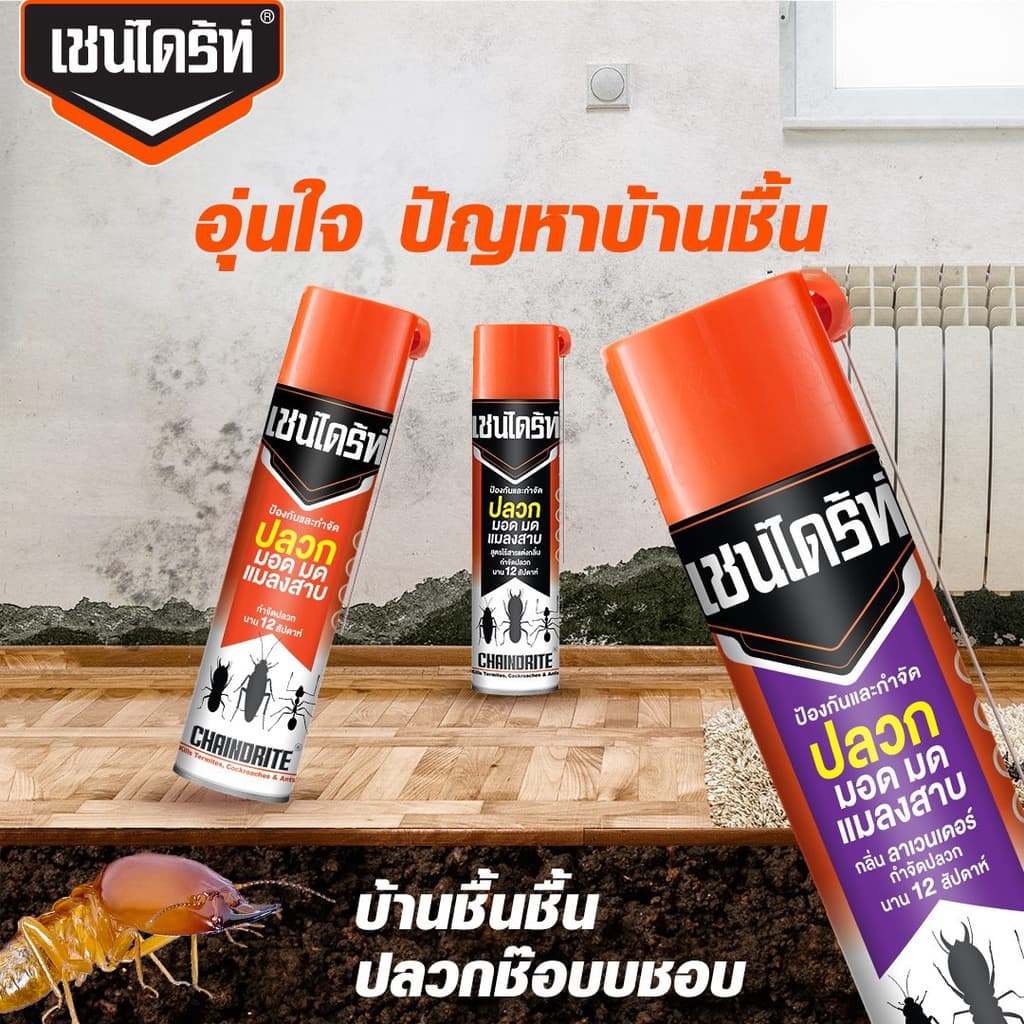Chaindrite เชนไดร้ท์ 7 สเปรย์กำจัดปลวก มอด มด และแมลงสาบ กลิ่นลาเวนเดอร์ ขนาด 300 ml. รูปที่ 5