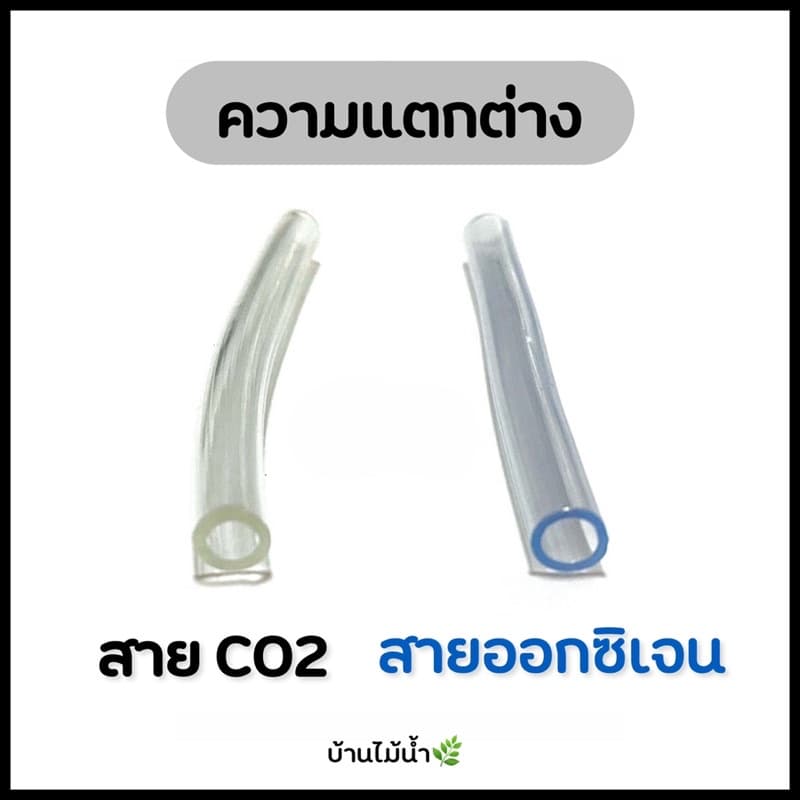 สาย CO2 4/6mm สายคาร์บอนไดออกไซด์ ตู้ไม้น้ำ ถังคาร์บอนไดออกไซด์ ถังCO2 สายPU TPU สายยาง | บ้านไม้น้ำ รูปที่ 4