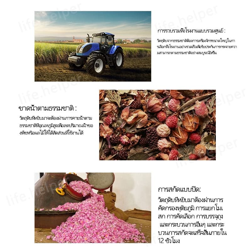 น้ำมันหอมระเหย 100 มล กลิ่นธรรมชาติ น้ำยาหอมระเหย บริสุทธิ์ 100% สสารสกัดจากธรรมชาติ กลิ่นหอมแรงขึ้น 24% รูปที่ 7