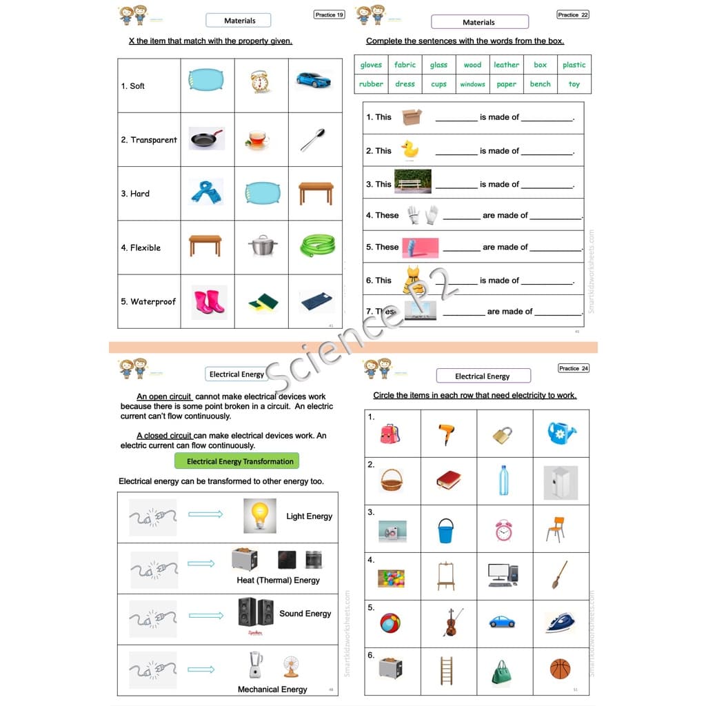ใบงาน Science ป.2 EP/MEP/MSEP | ครบ 2 เทอม พิมพ์สีทั้งเล่ม 83 หน้า พร้อมสรุป+เฉลย รูปที่ 3