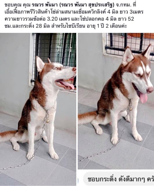 โซ่ล่ามสุนัข สแตนเลสแท้304โดนน้ำได้ไม่ขึ้นสนิมไม่มีขาด‼ขนาด 2-4 มิล โซ่หมา โซ่สุนัข โซ่จูง ใช้ได้ในบ้านและนอกบ้าน รูปที่ 5