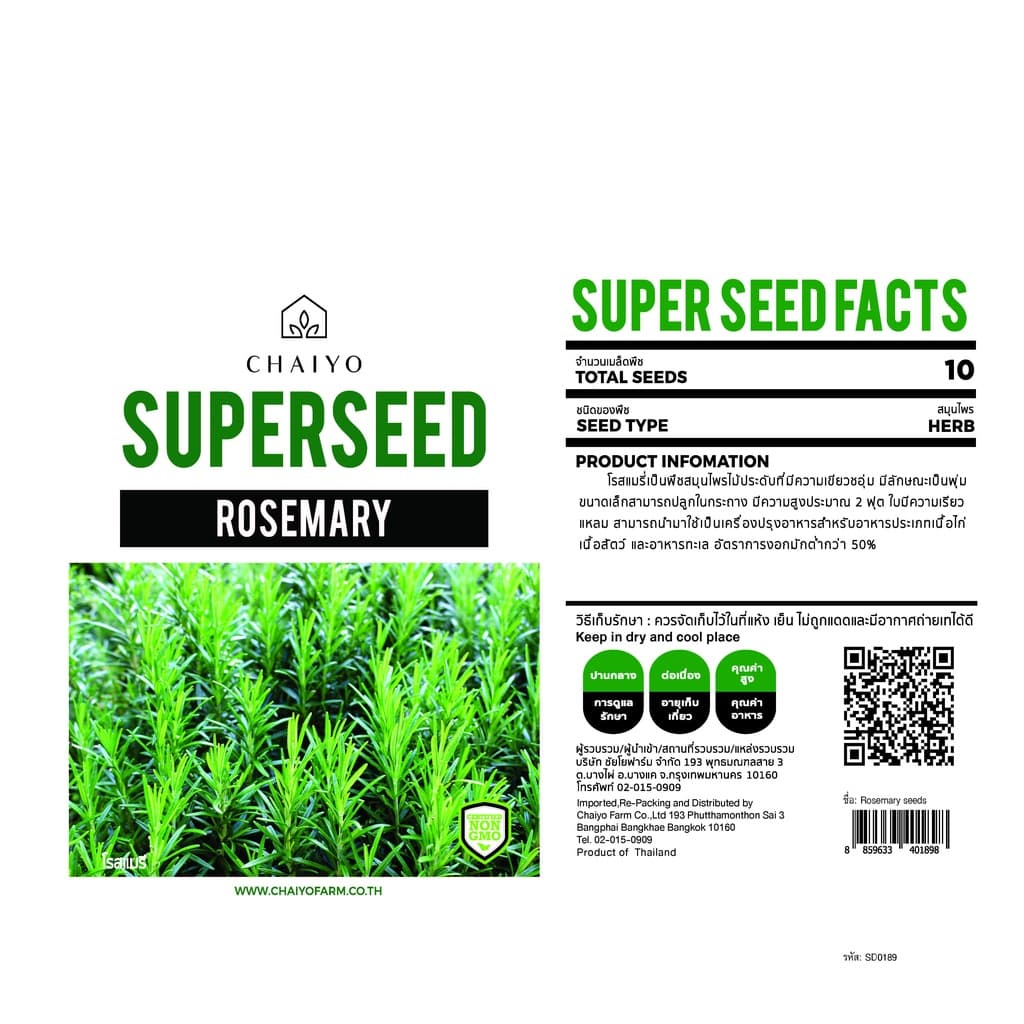 เมล็ด ROSEMARY seeds เมล็ดโรสแมรี รูปที่ 4