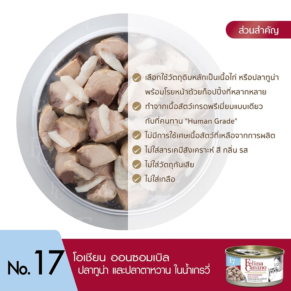 Felina Canino : NO.17 Ocean Ensemble 70g. รูปที่ 4