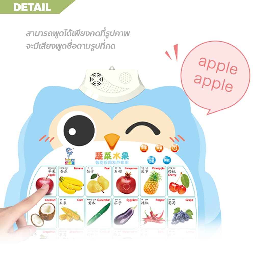 ERORO โปสเตอร์นกฮูกพูดได้ 1-3ภาษา กดมีเสียง สำหรับเรียนรู้คำศัพท์ภาษาจีน ภาษาอังกฤษ รูปที่ 3