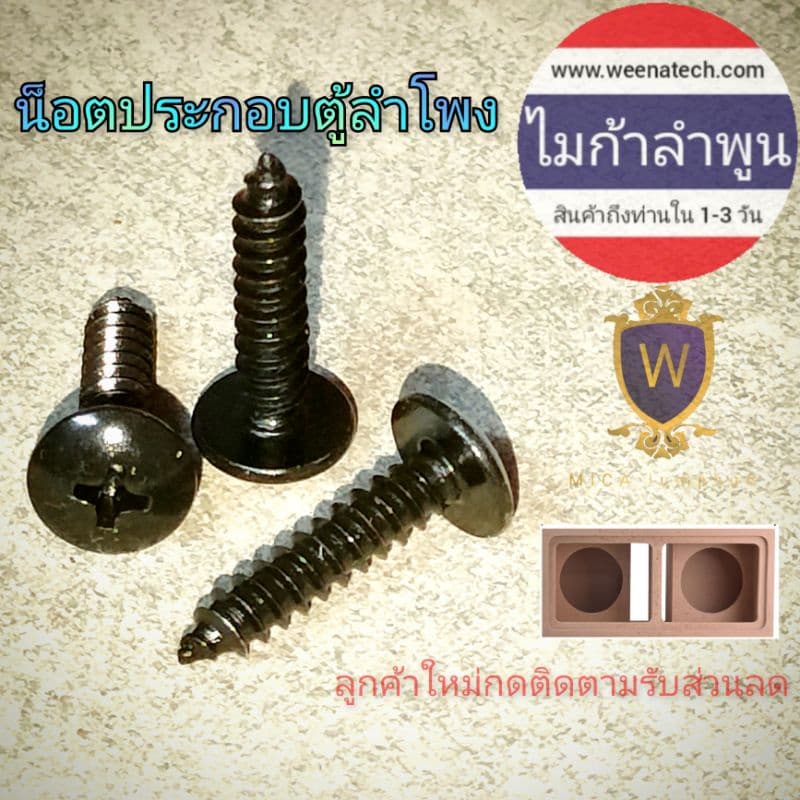 น็อตประกอบตู้ลำโพง น็อตทำตู้ลำโพง สกรูเกลียวปล่อย น็อตเกลียวปล่อย น๊อตยึดไม้ สกรูยึดไม้ 8x3/4 8x5/8 8x1 1/4 ไมก้าลำพูน รูปที่ 1