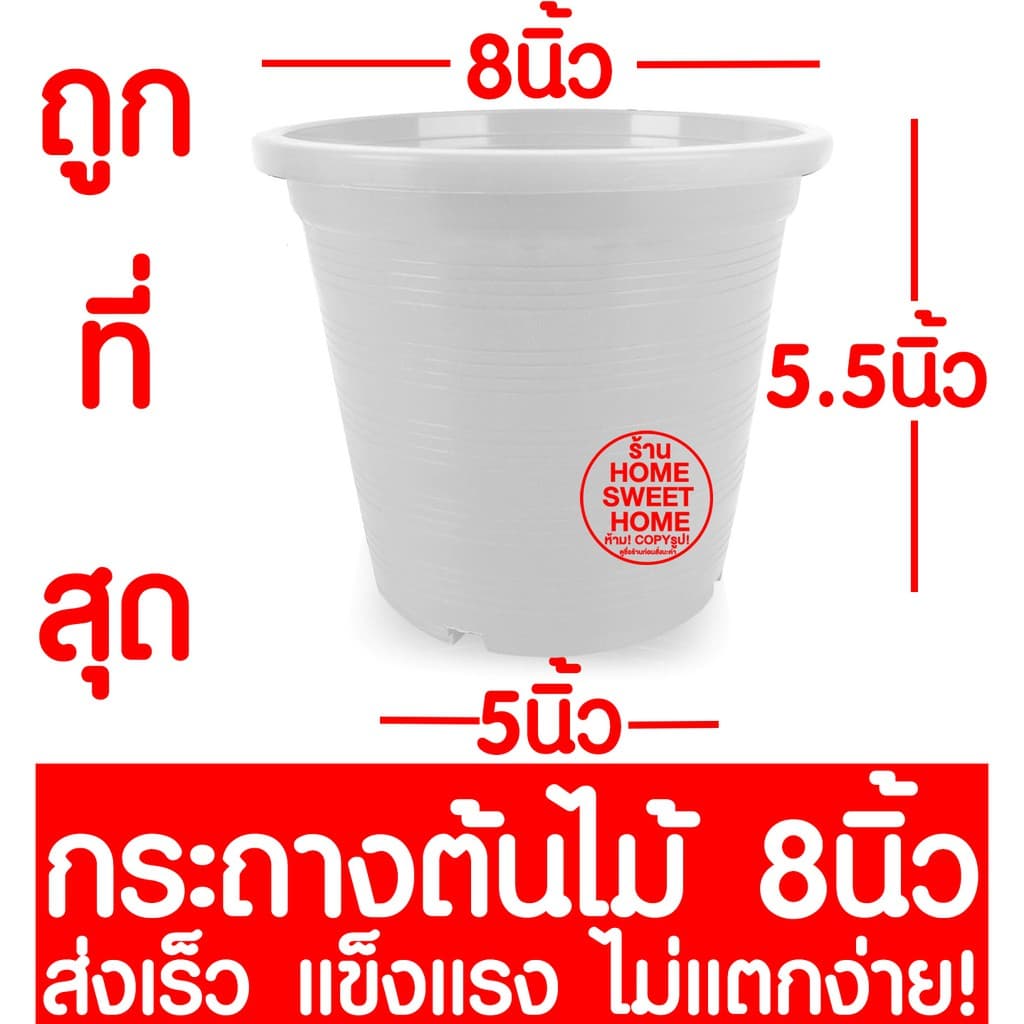 กระถางเพาะชำ กระถางต้นไม้ สีขาว ปลูกต้นไม้ ลวดแขวนกระถาง ลวดแขวนต้นไม้ เพาะปลูก กล้วยไม้ ต้นไม้ ฟองน้ำ 4/5.5/6/8 นิ้ว รูปที่ 7